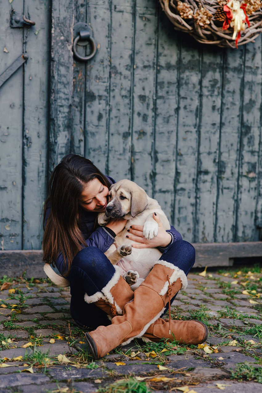 TWHBEA + TWHCE Dualmitglieder bekommen 10% bei Caroline Jüngling Photography
