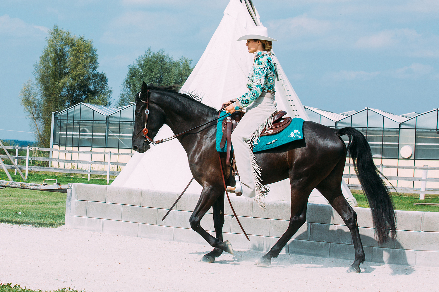 Tennessee Walking Horse Club Europe