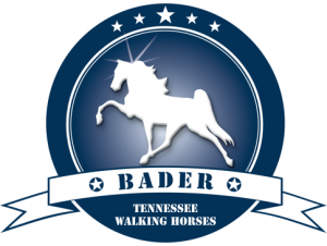 logo-d-b-new