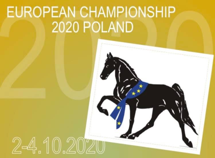 65261533_2570261906339485_8270407411932594176_n 65261533_2570261906339485_8270407411932594176_n
